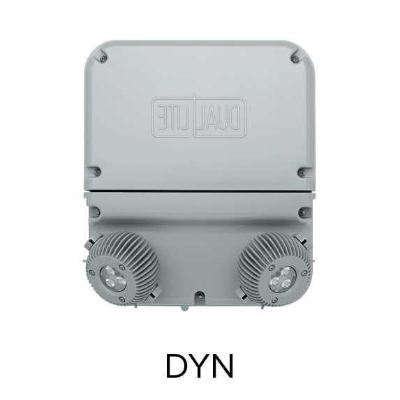 DYN