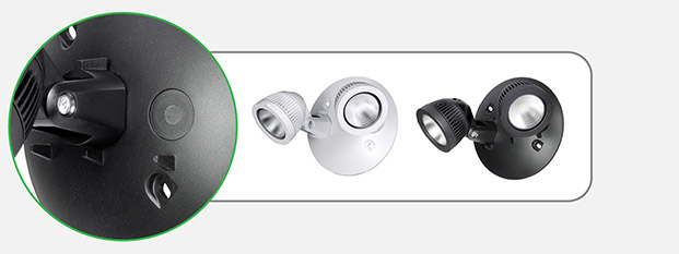 DLR Remote Head Family Indoor Features