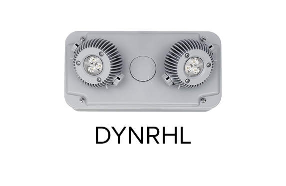 DYNRHL