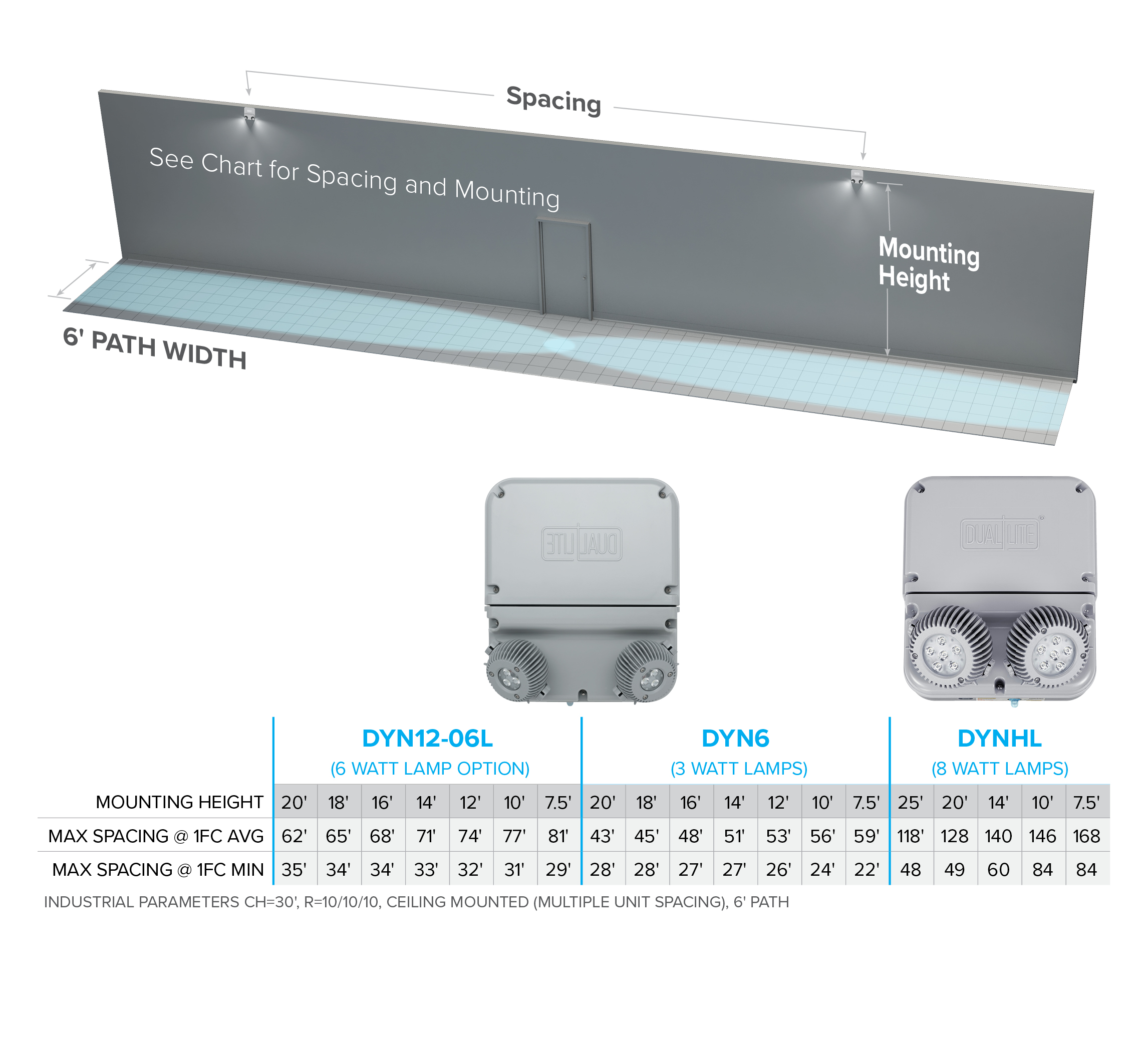 DYNC Spacing